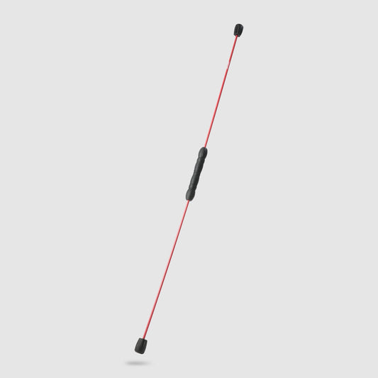 Swingstick